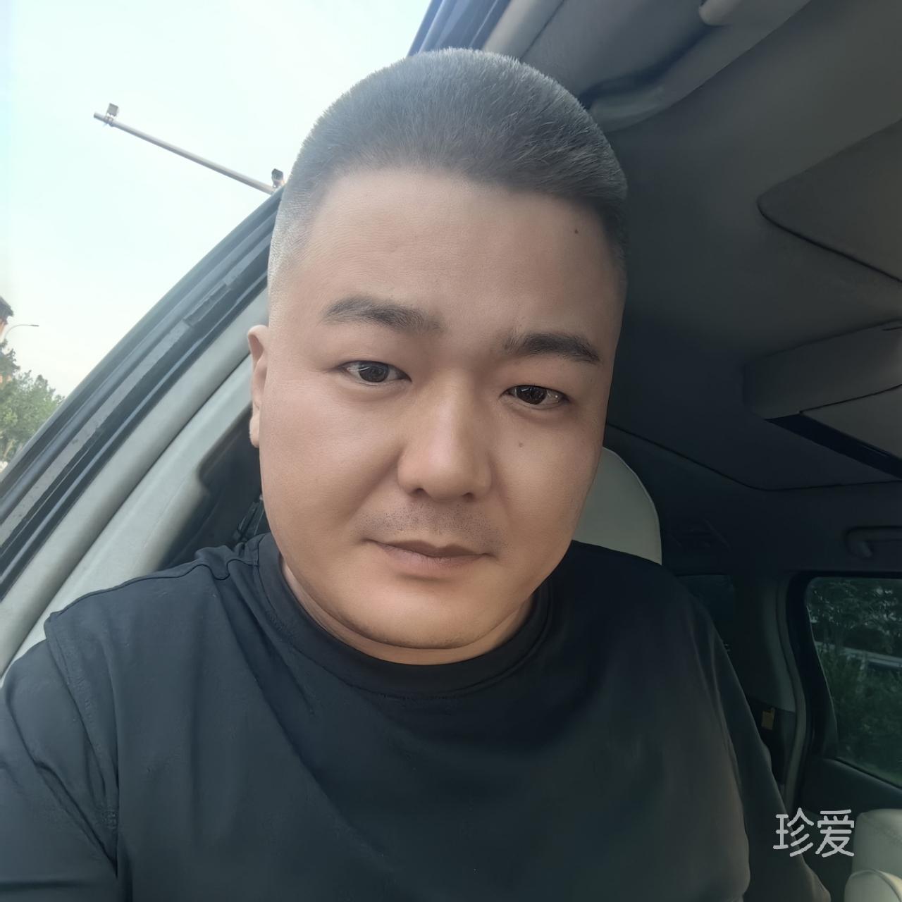 随缘鸿影