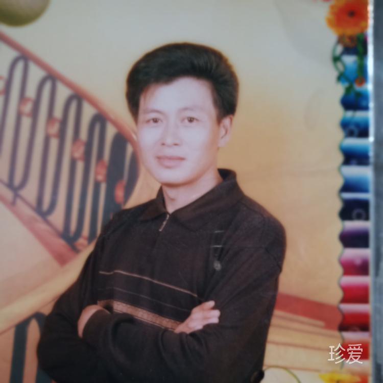 林间风语