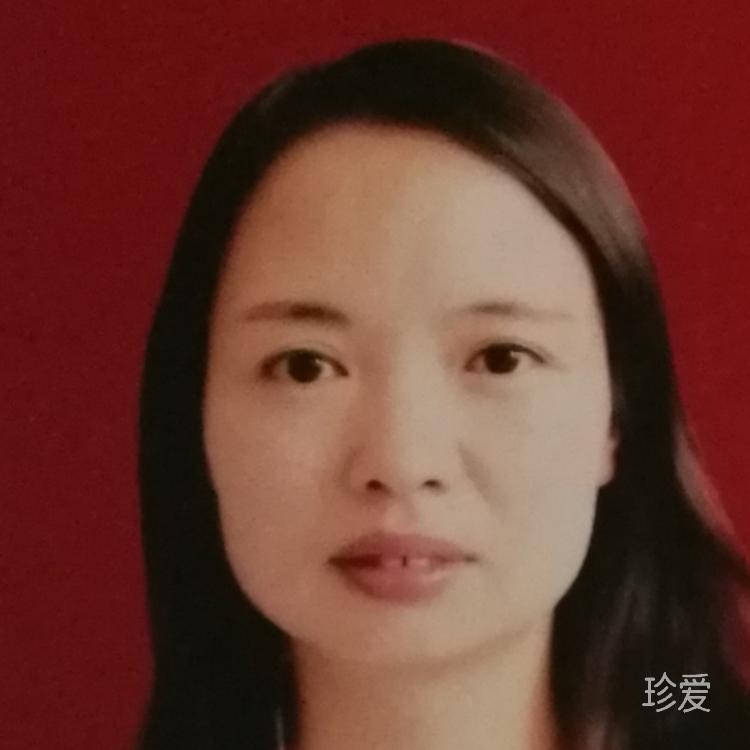 那一排排的櫻花樹