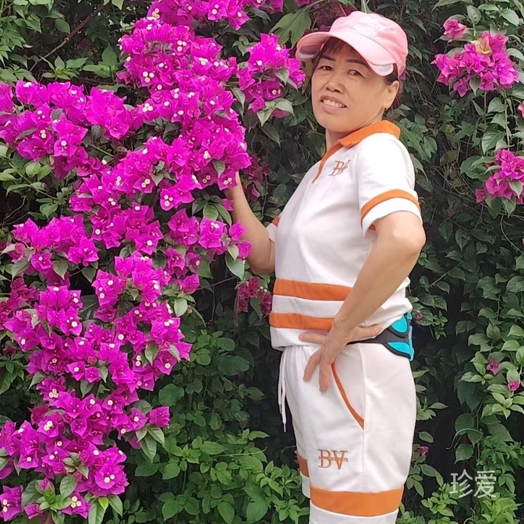 往事清风