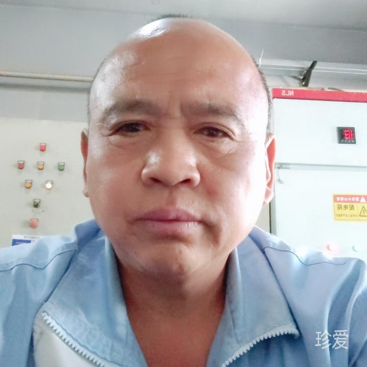飞蝗