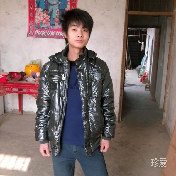 菜小青虫