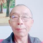 老笨