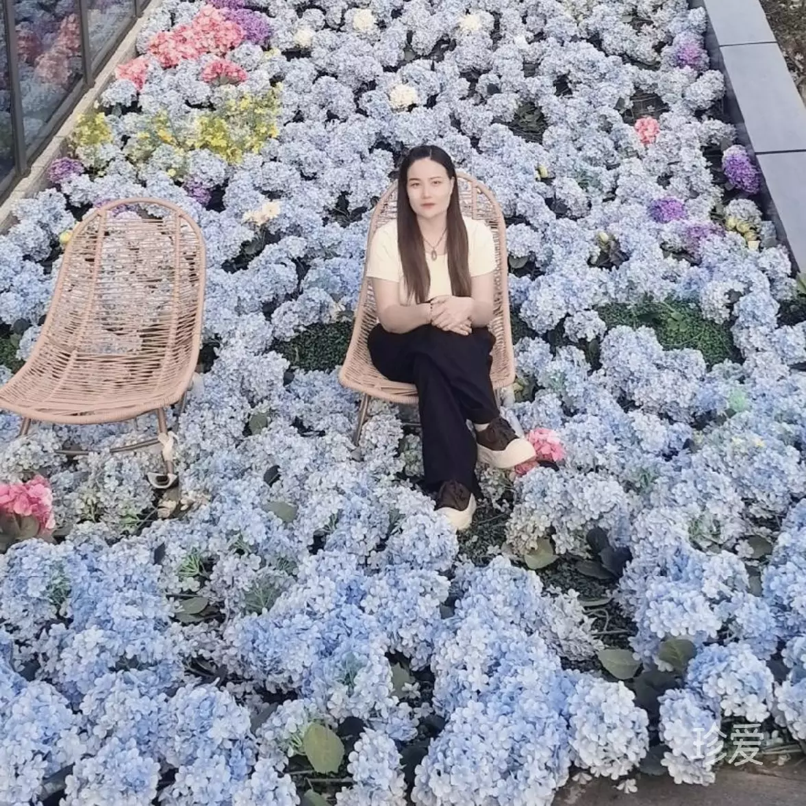 听说糖很甜