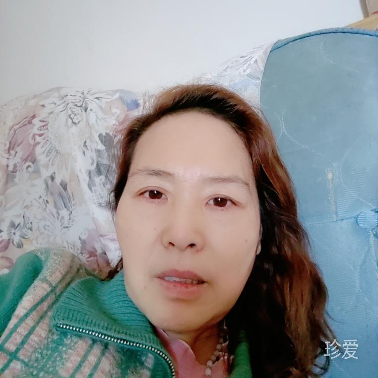 梦宇兰花草
