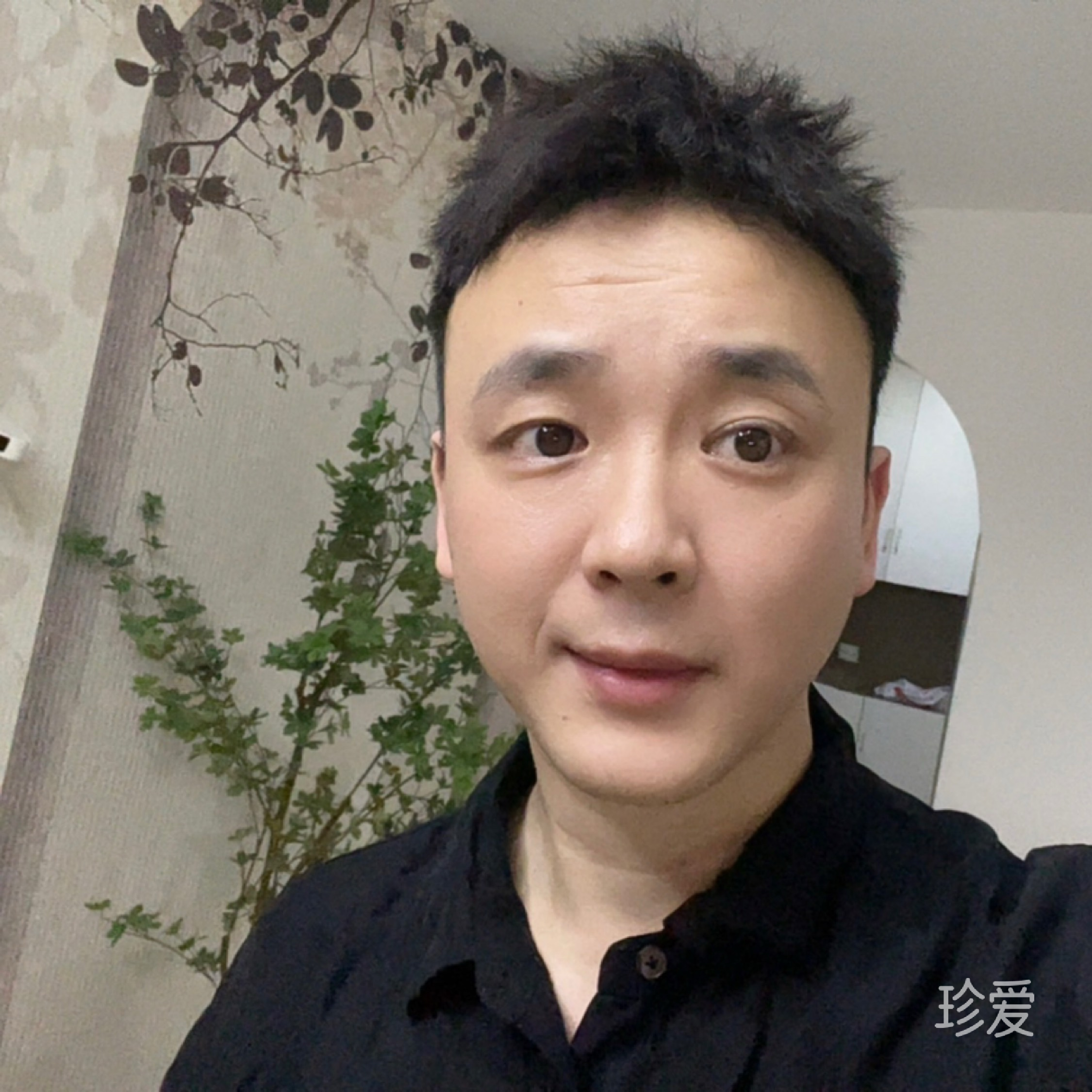 mr杨