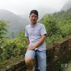 秋葉飄飄