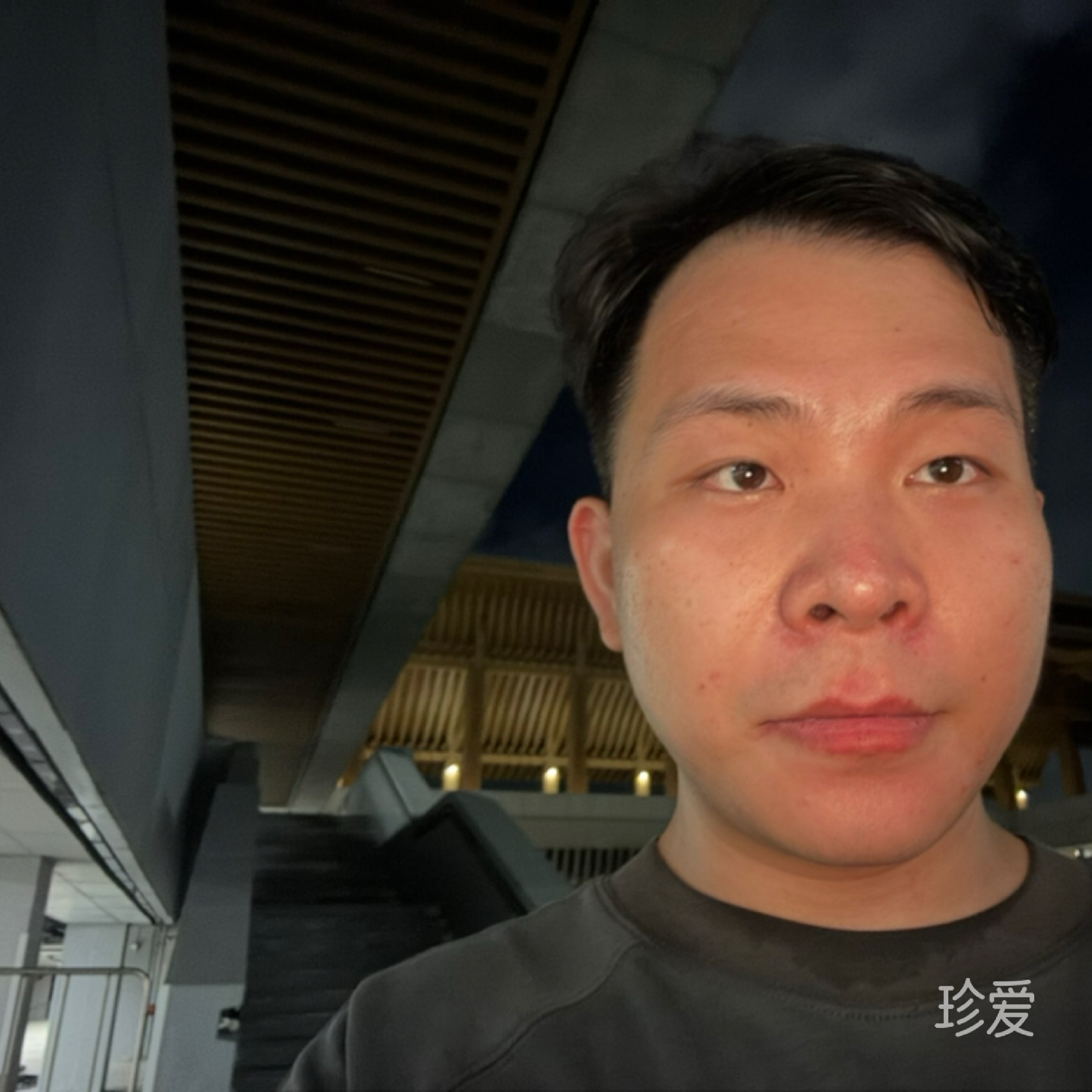 文鈺棟
