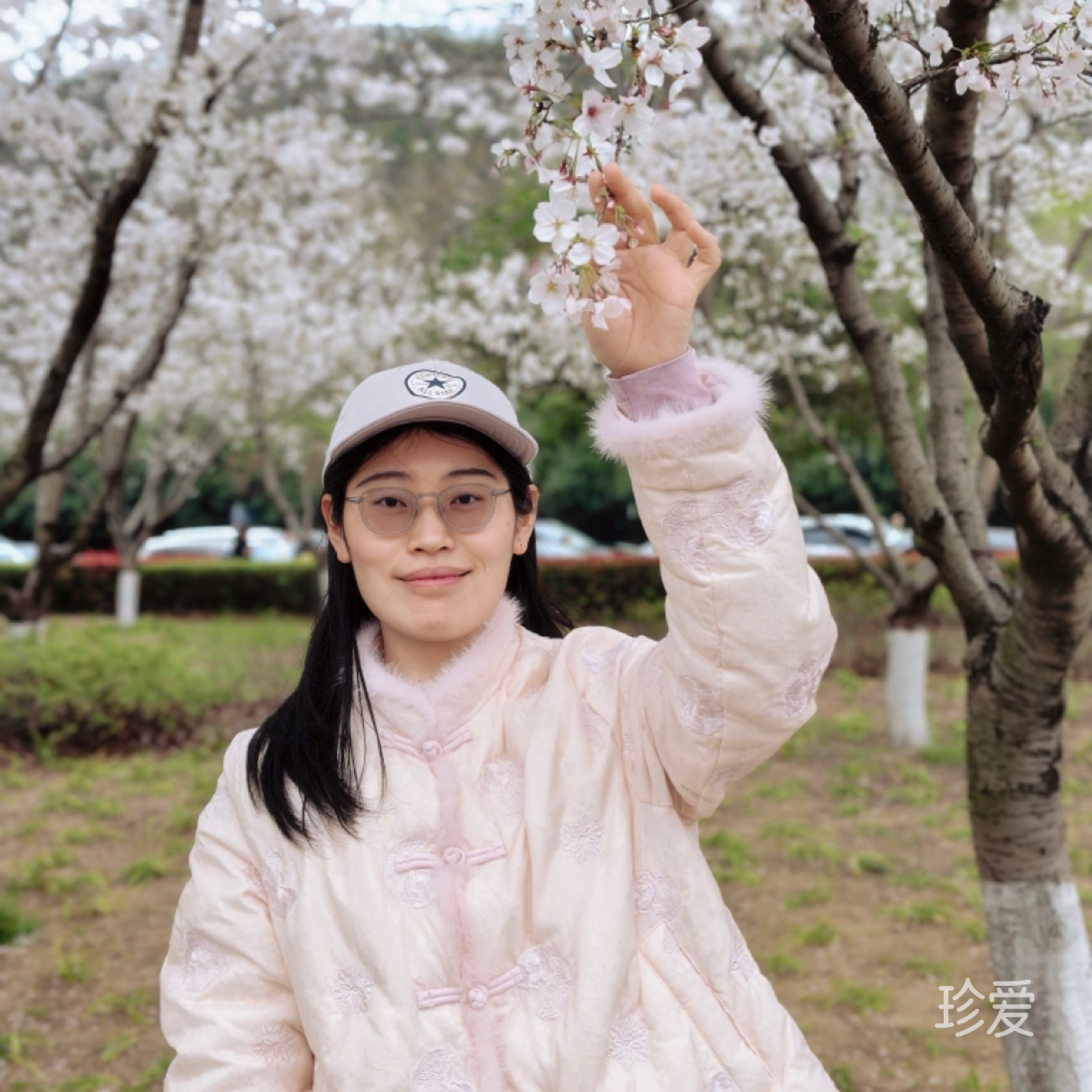 凤凰花开的路口