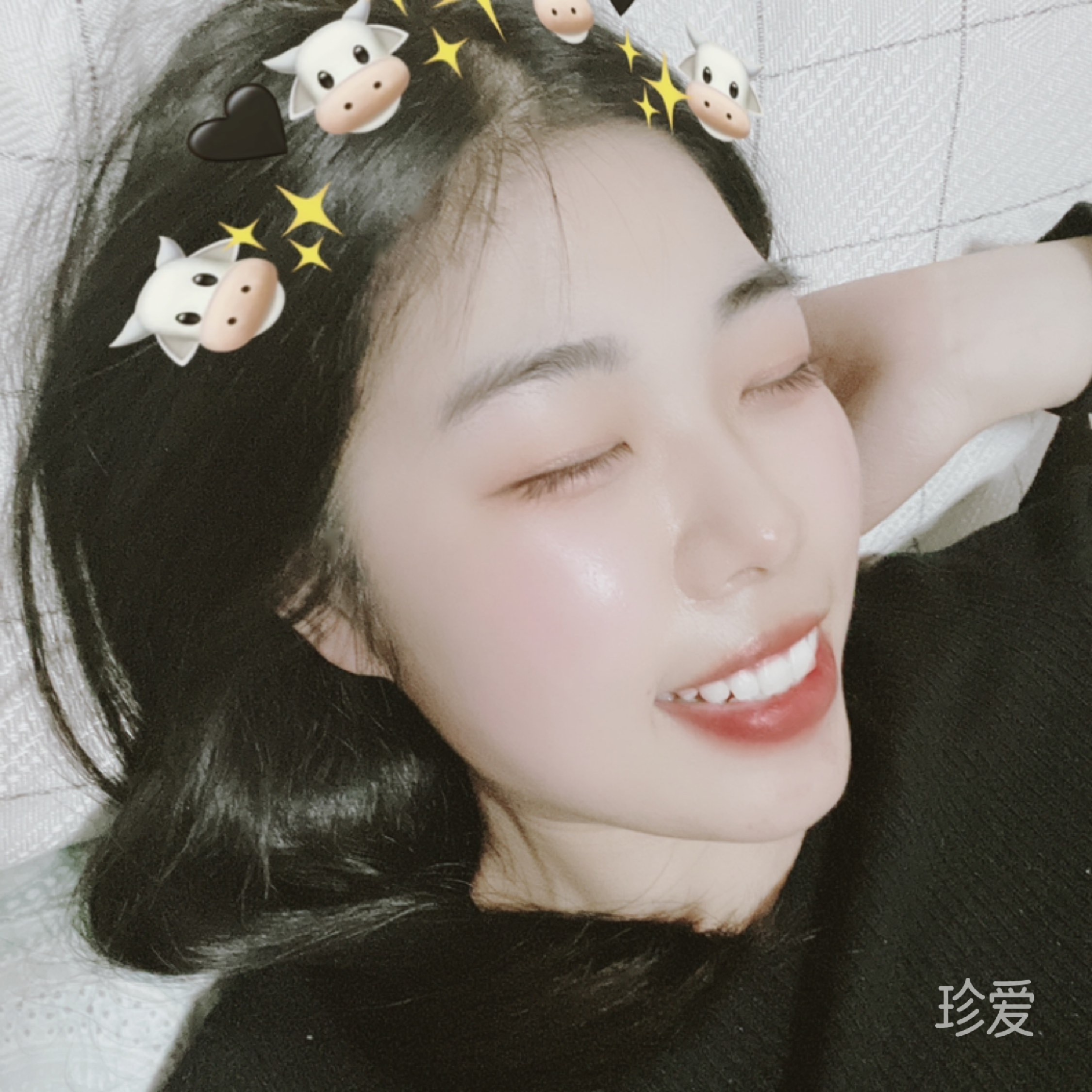 千年单身贝壳头