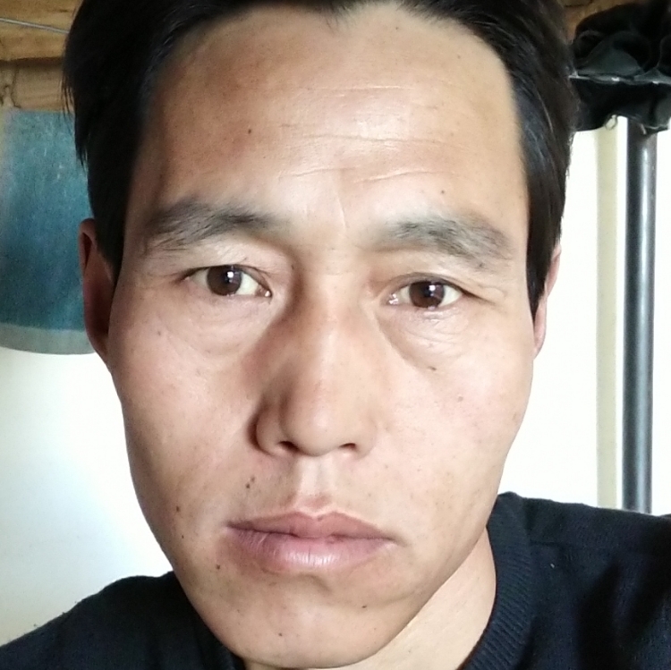 尋找真愛(ài)的孤狼