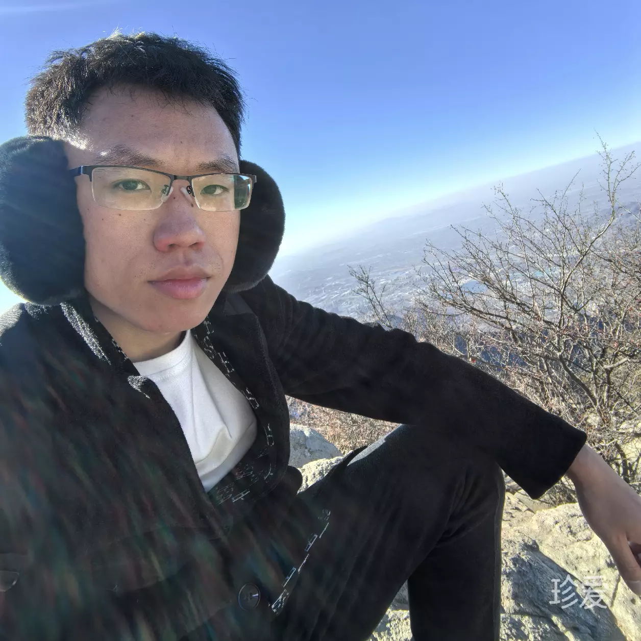 大漠胡扬