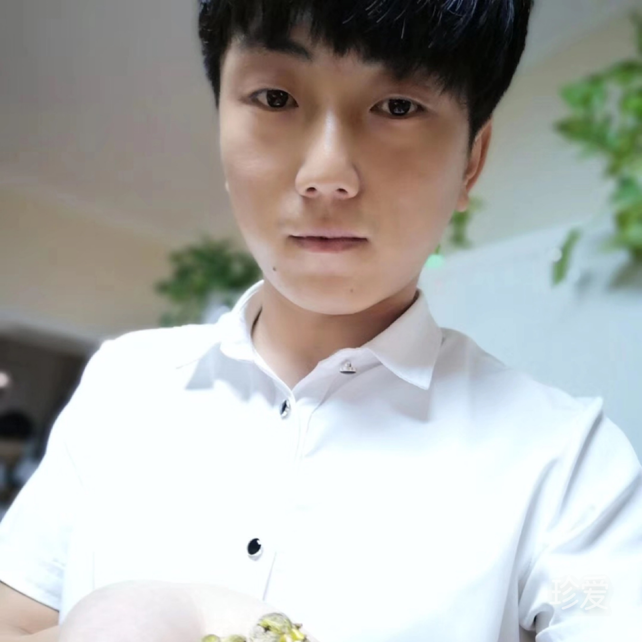 等待春天的到来