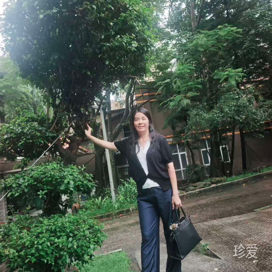 看到我你会回来