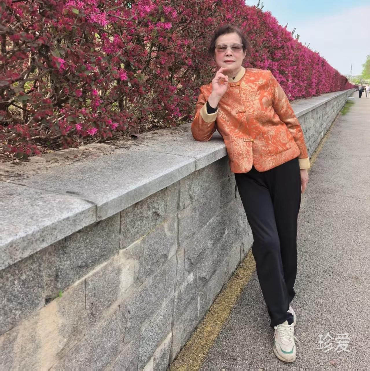 昕昕沐歌