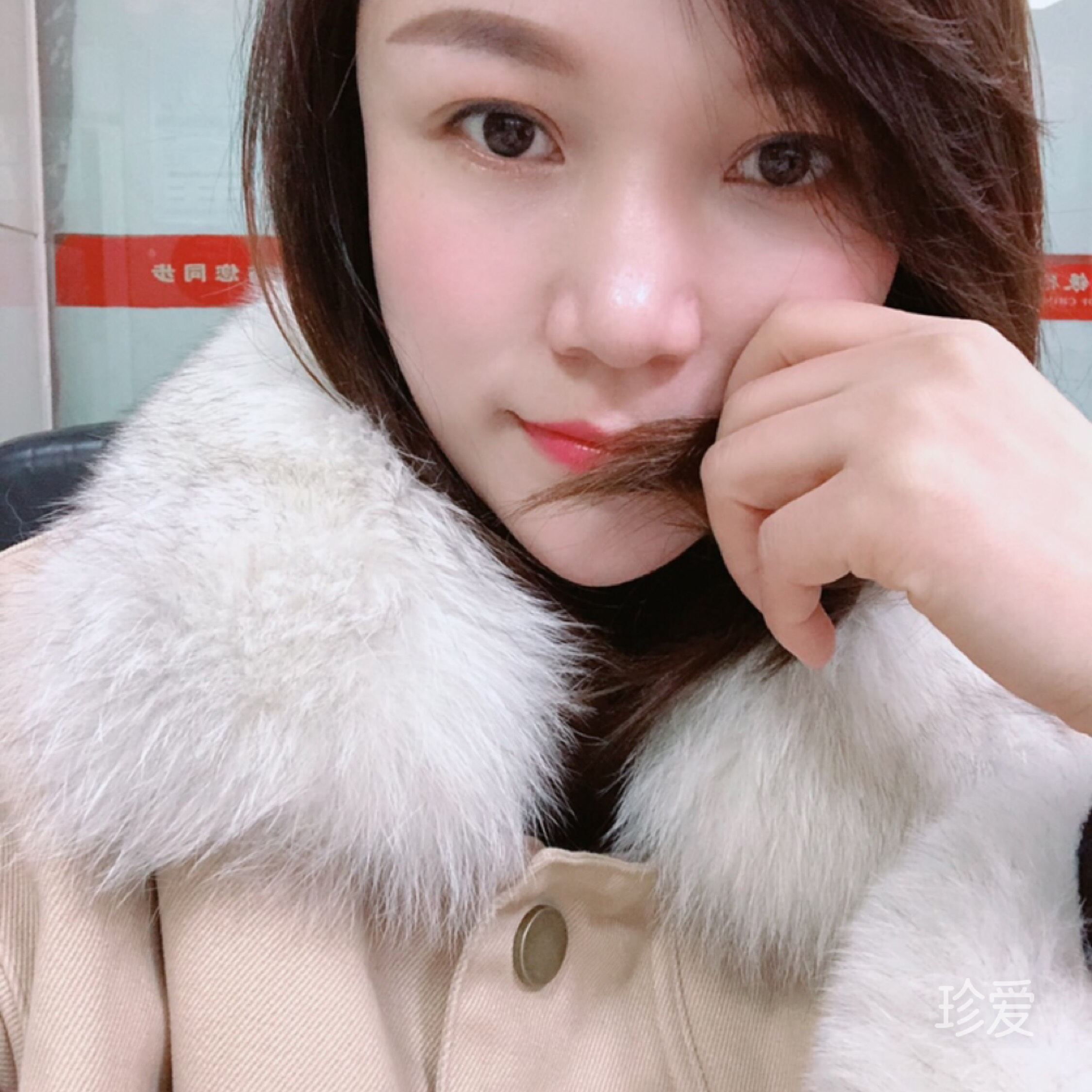 向日葵