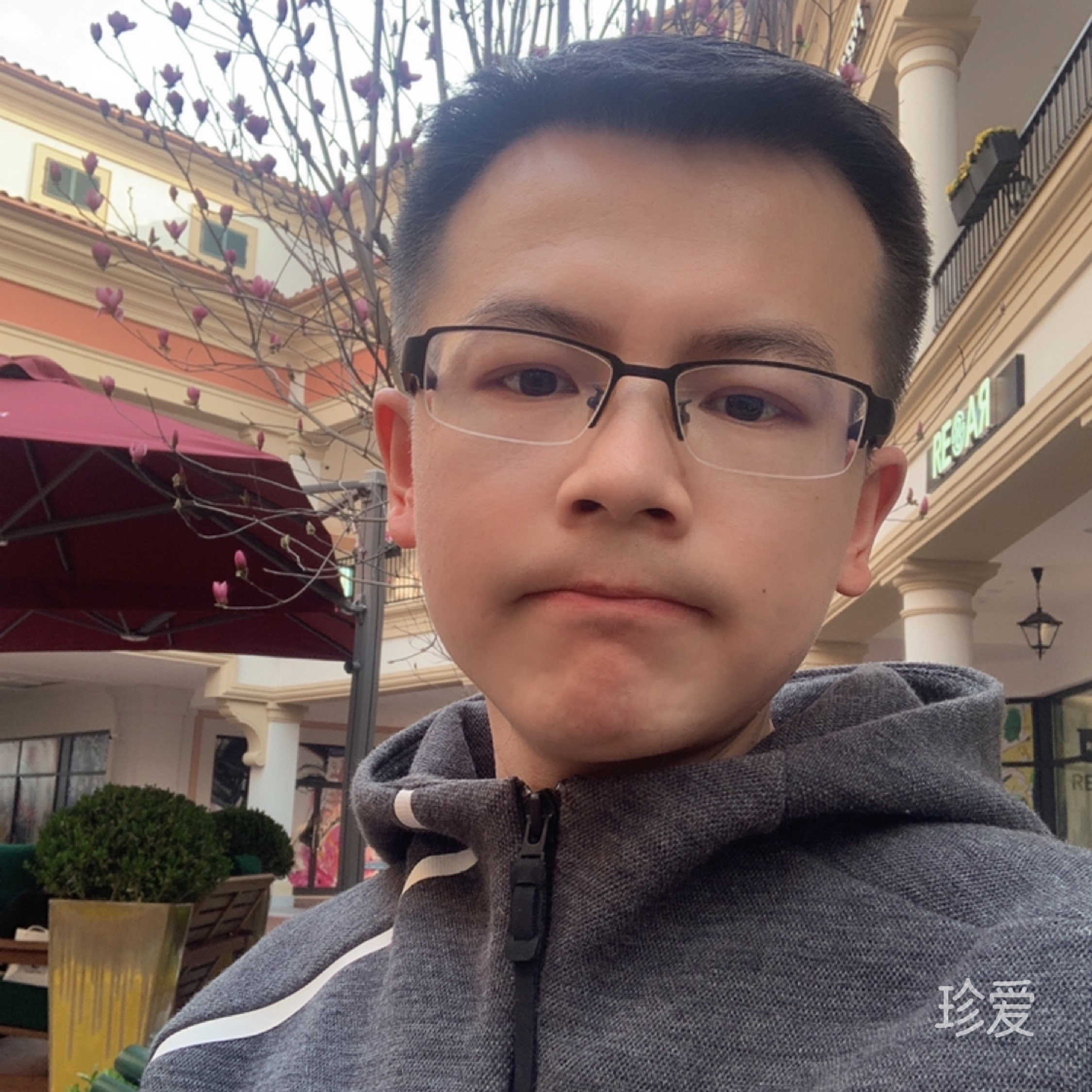 像風走了八千里