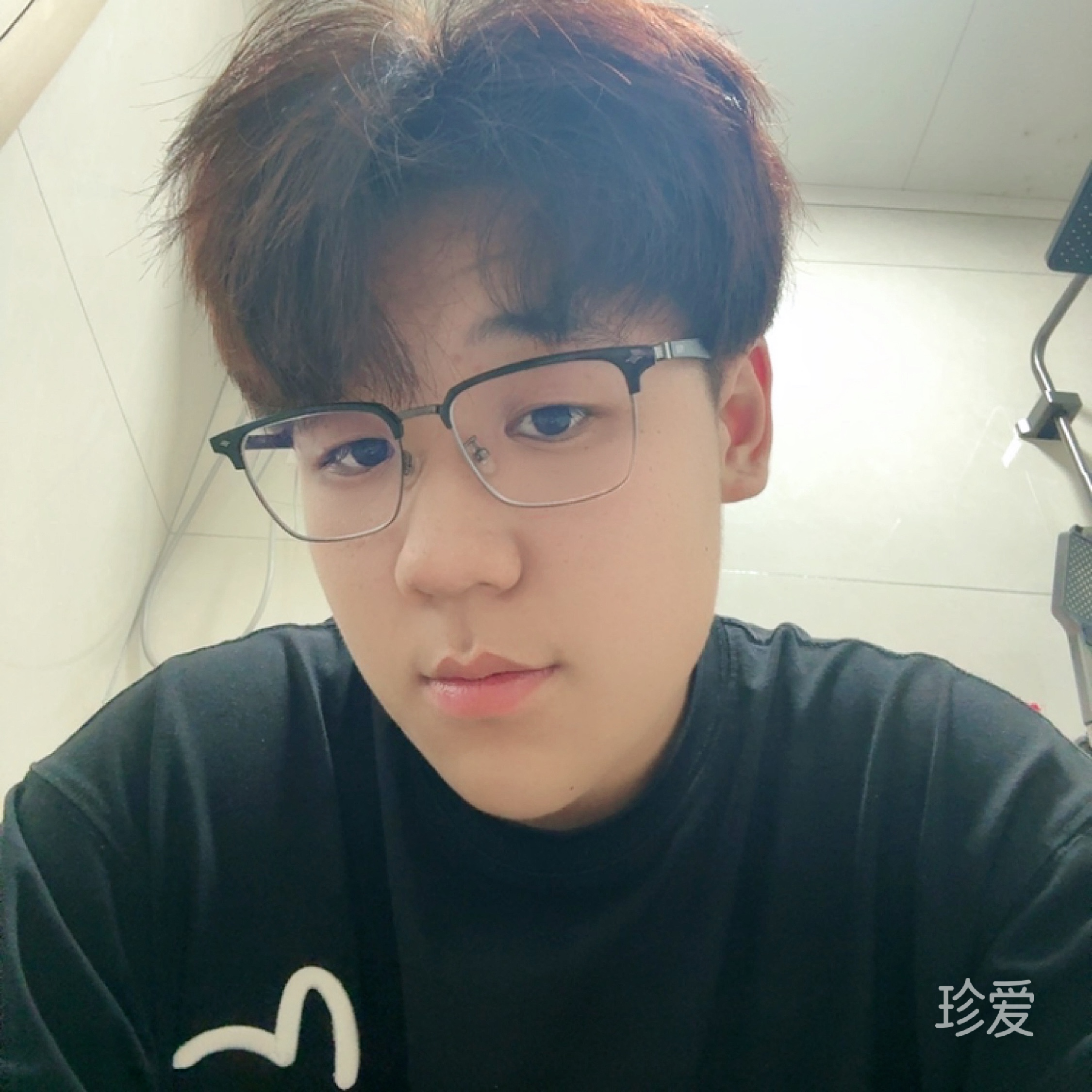 大漠胡扬