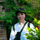 呆呆小包