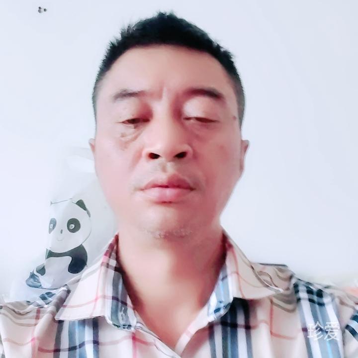 没有谎言