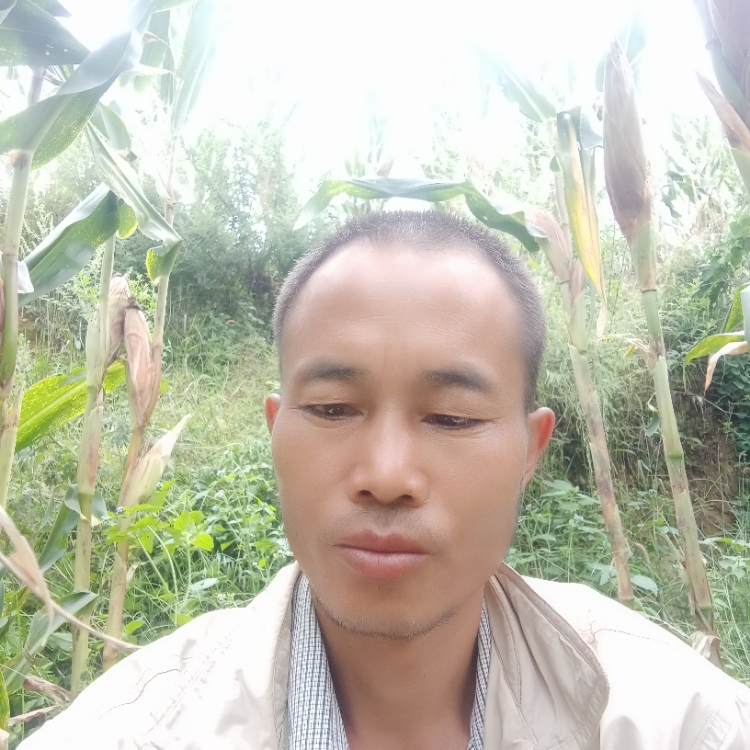 無緣的結(jié)局