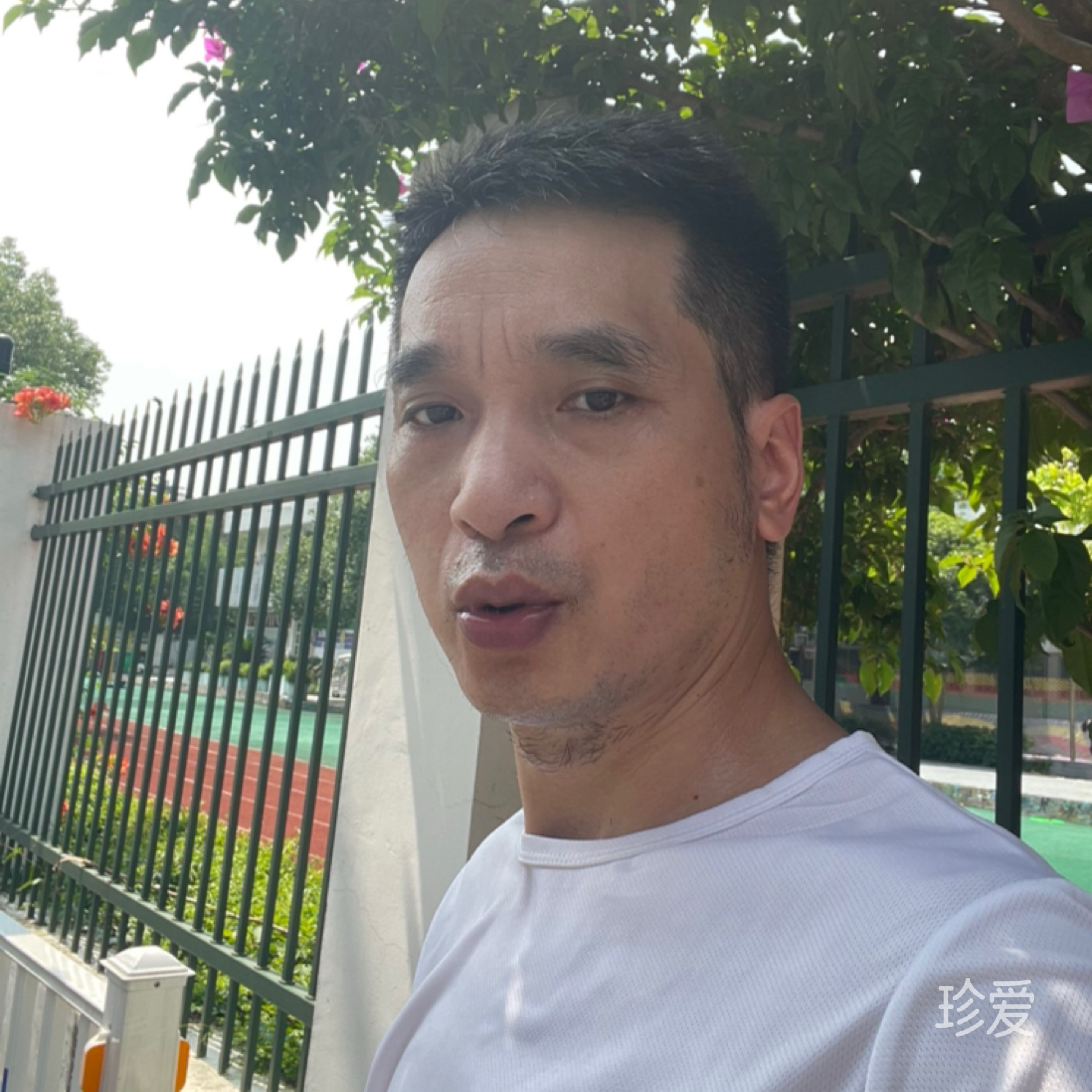 沧桑又沉默