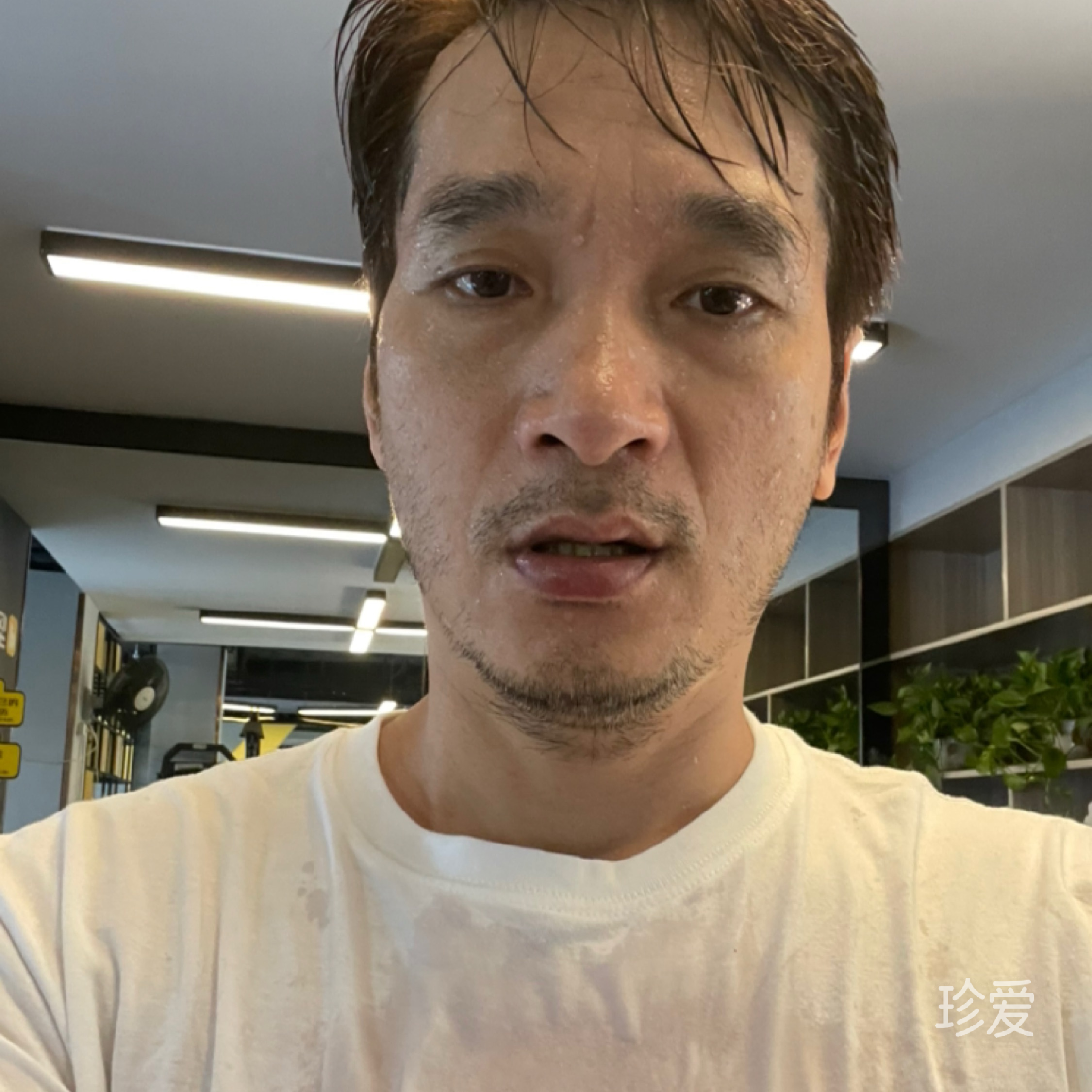 晚秋