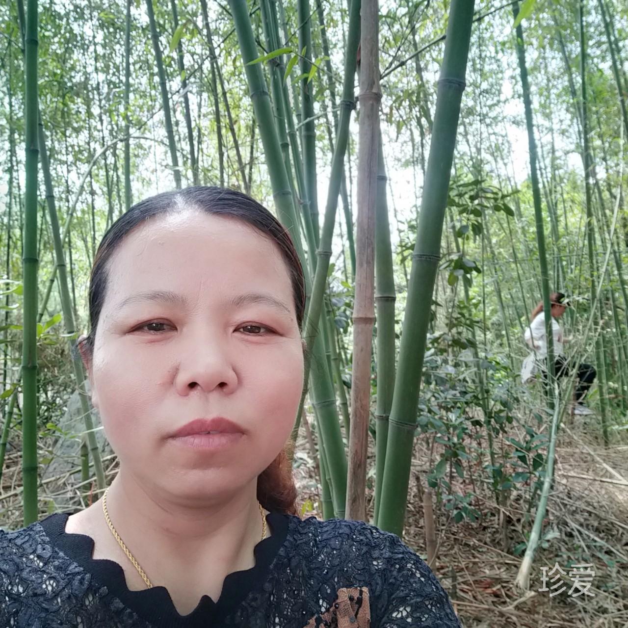 阳光总在风雨后