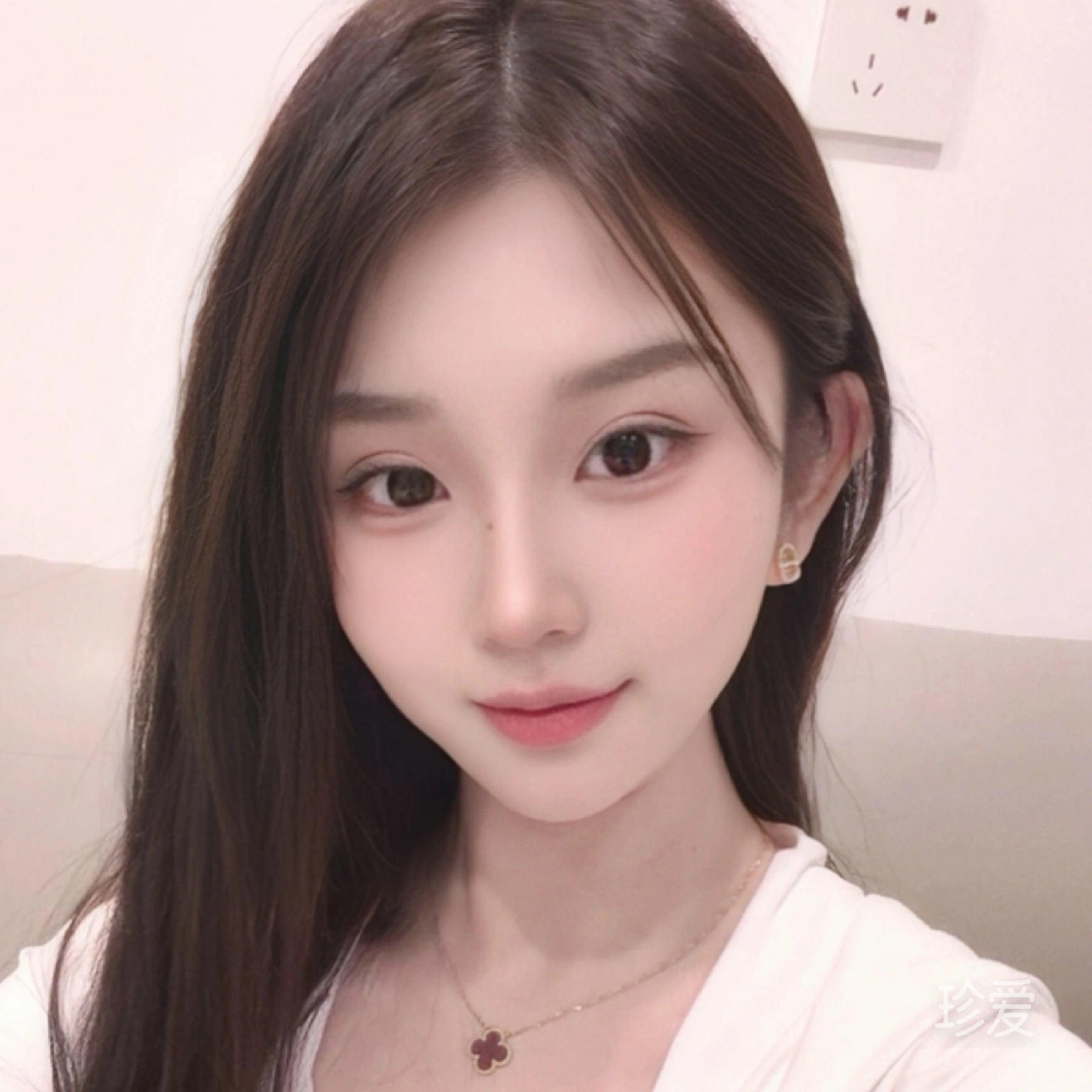 兔兔