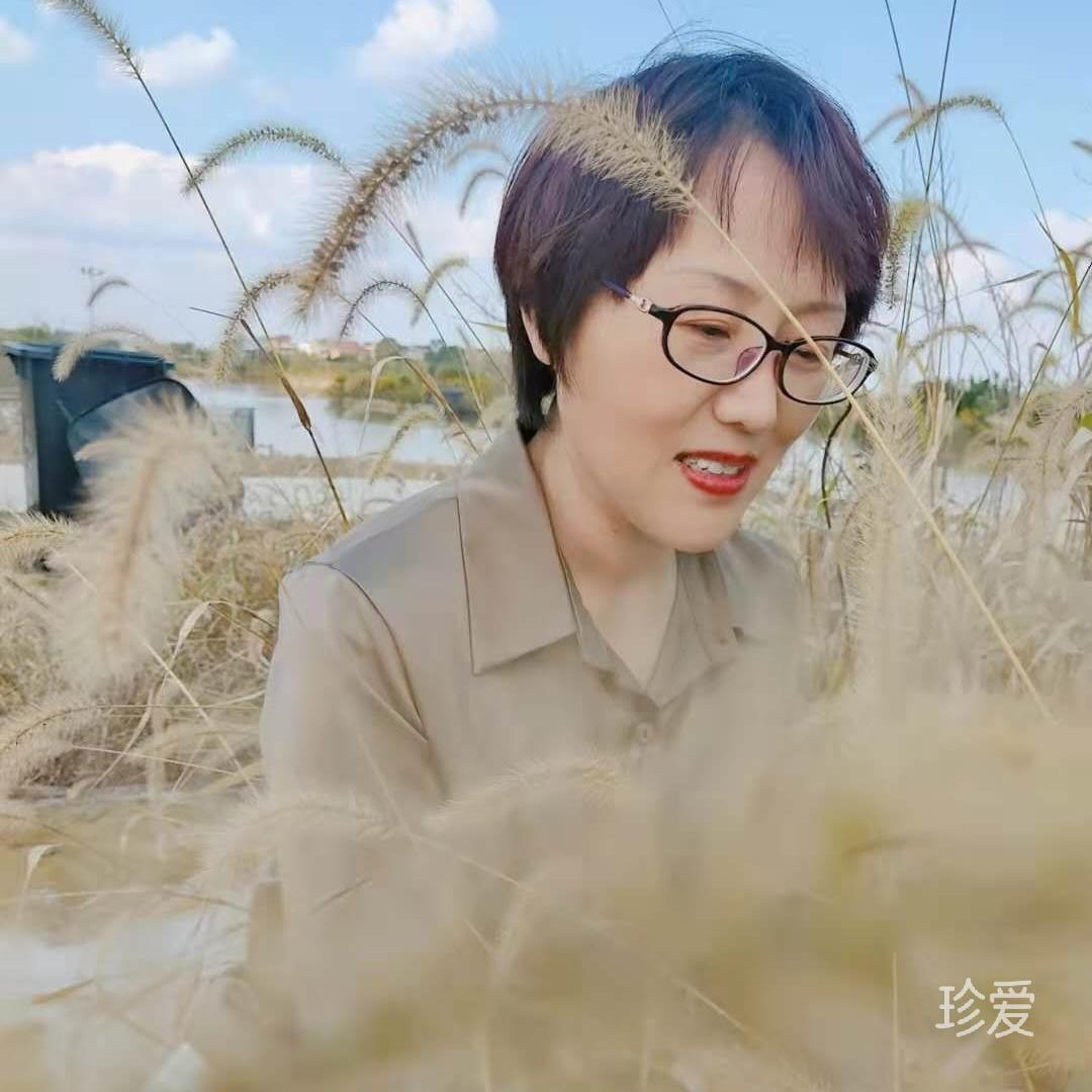 最美的音乐