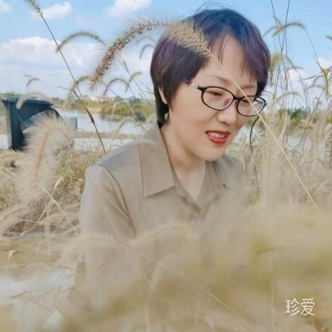 最美的音乐
