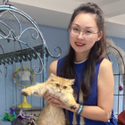 人海中尋找你