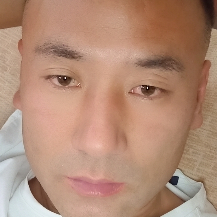 為愛尋找一個港灣