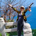 風(fēng)景在路上