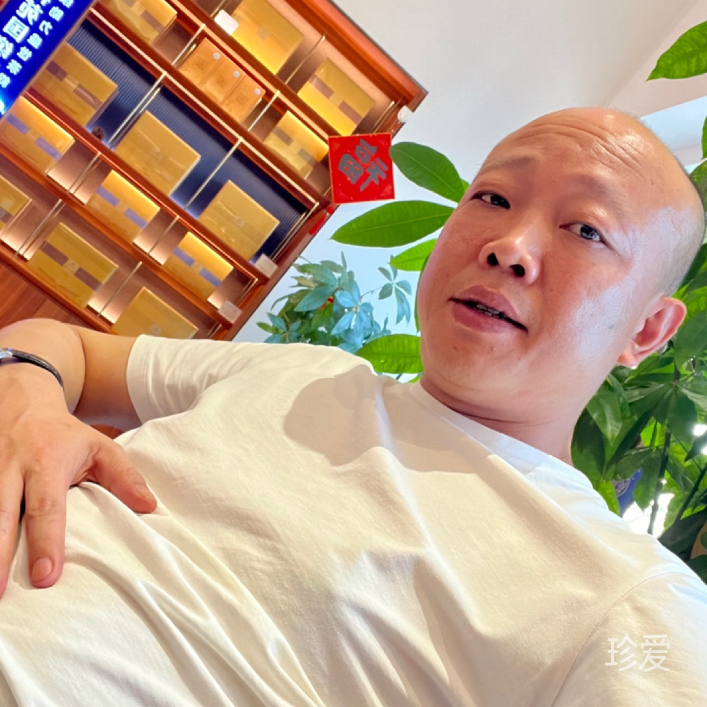 如歌的人