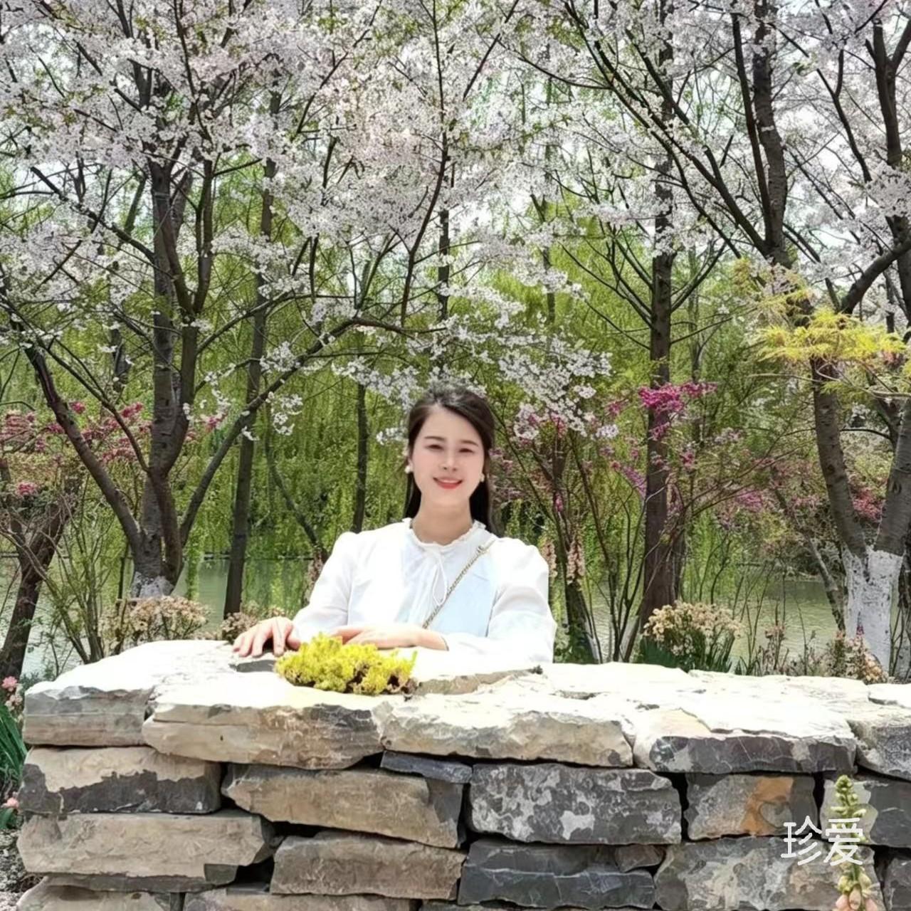 风雨中的玫瑰
