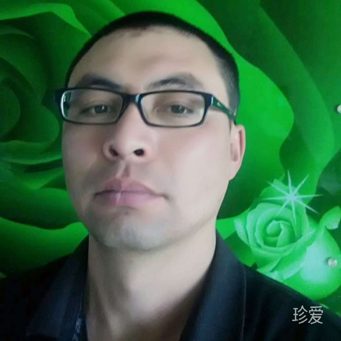 鸿燕传书