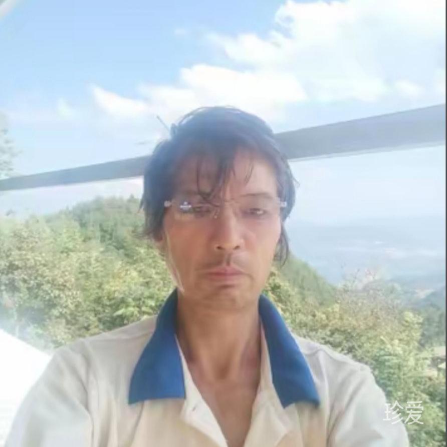 俊逸的宝马