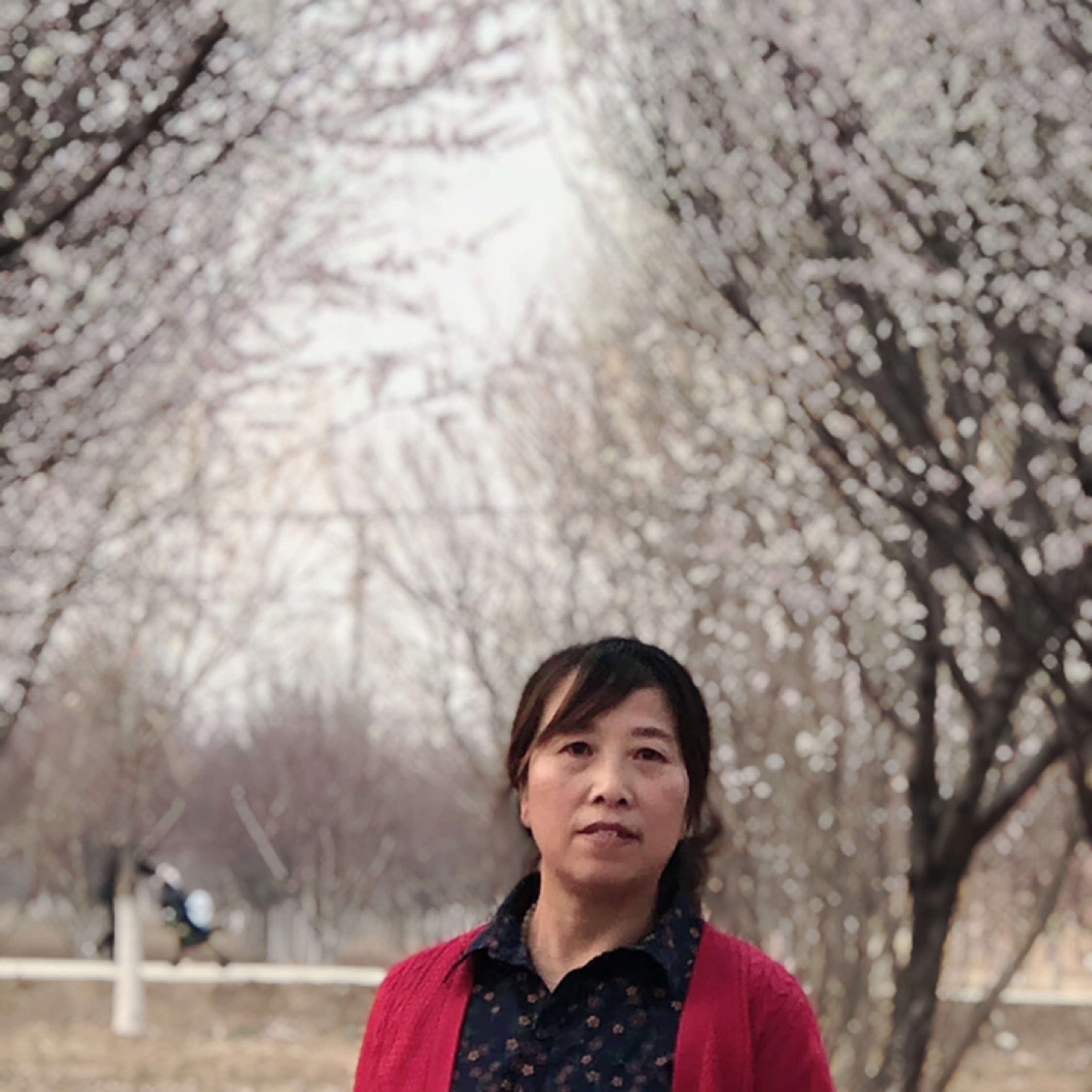 夏天的微風(fēng)