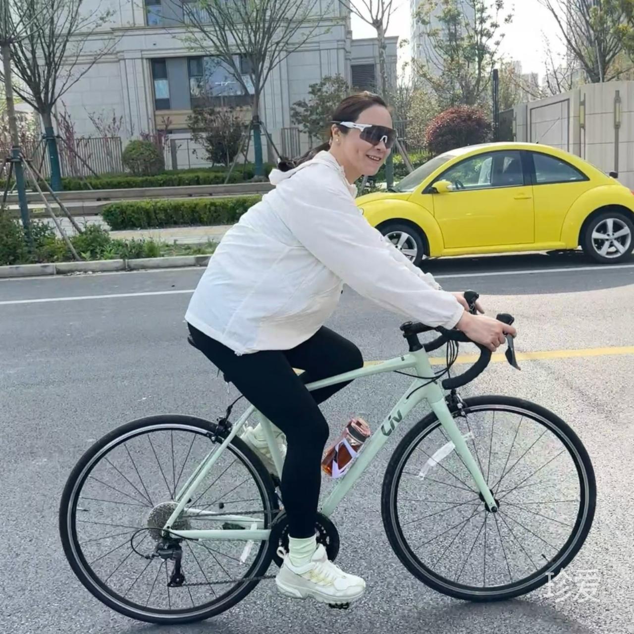蜗牛爱上树
