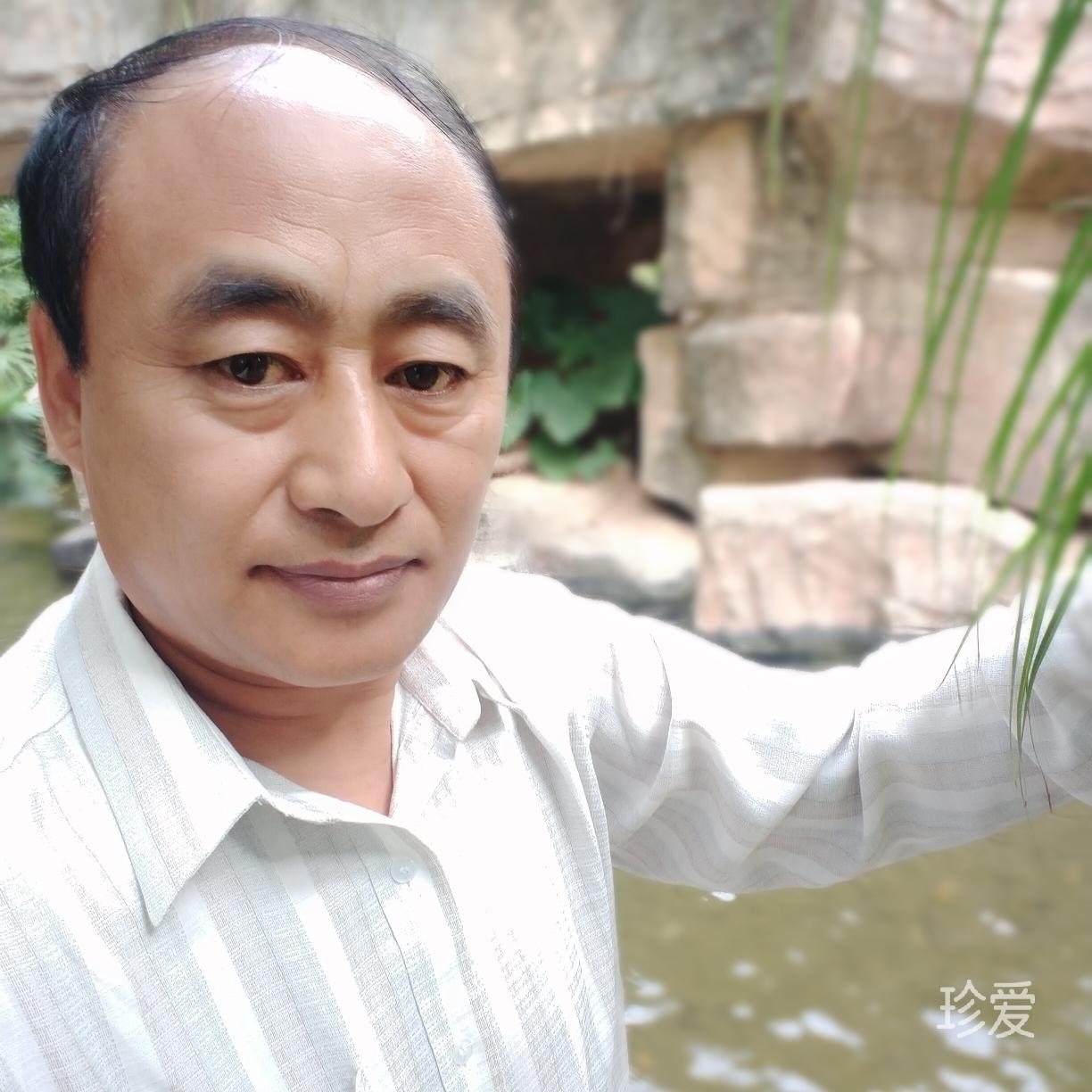 北方的狼