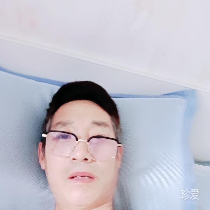 天空的雁