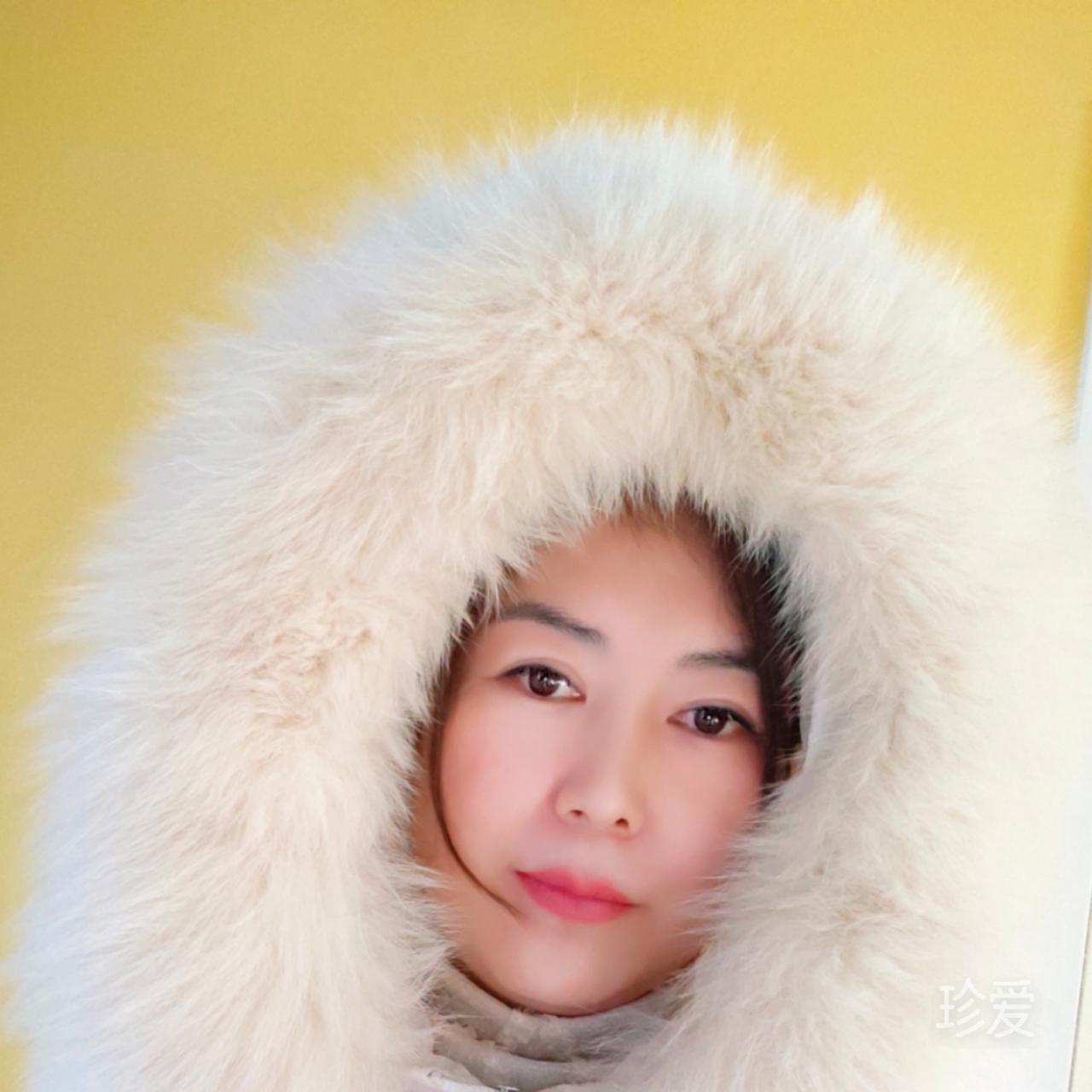 傲雪莲花