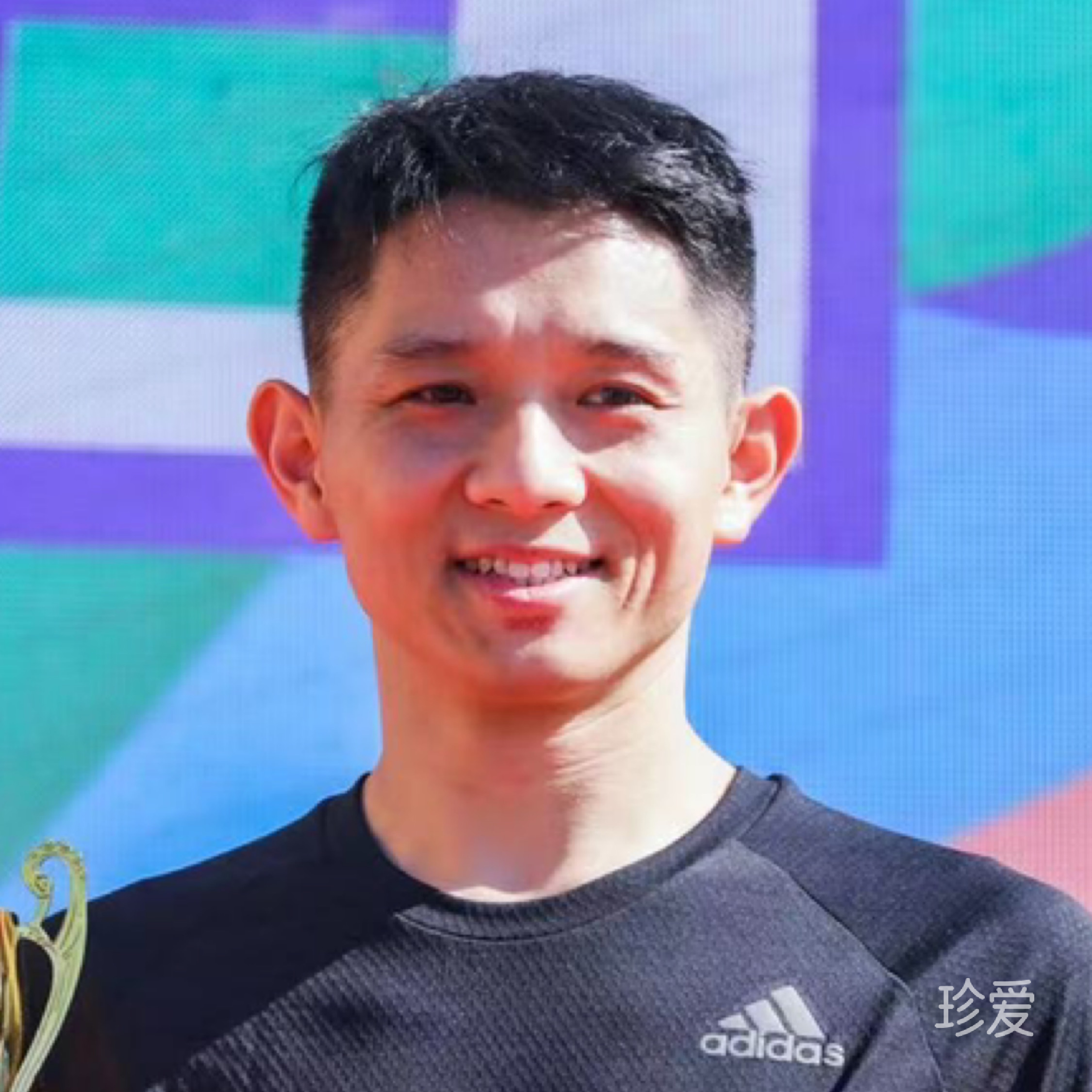 小马歌歌歌歌歌