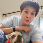 幽夢(mèng)翠竹蘭