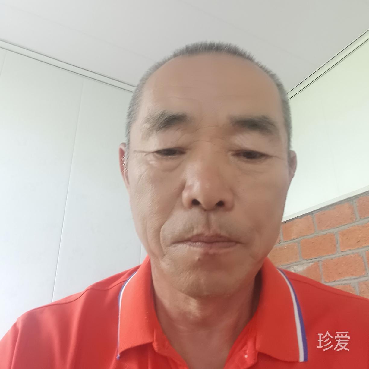 飘逸之林
