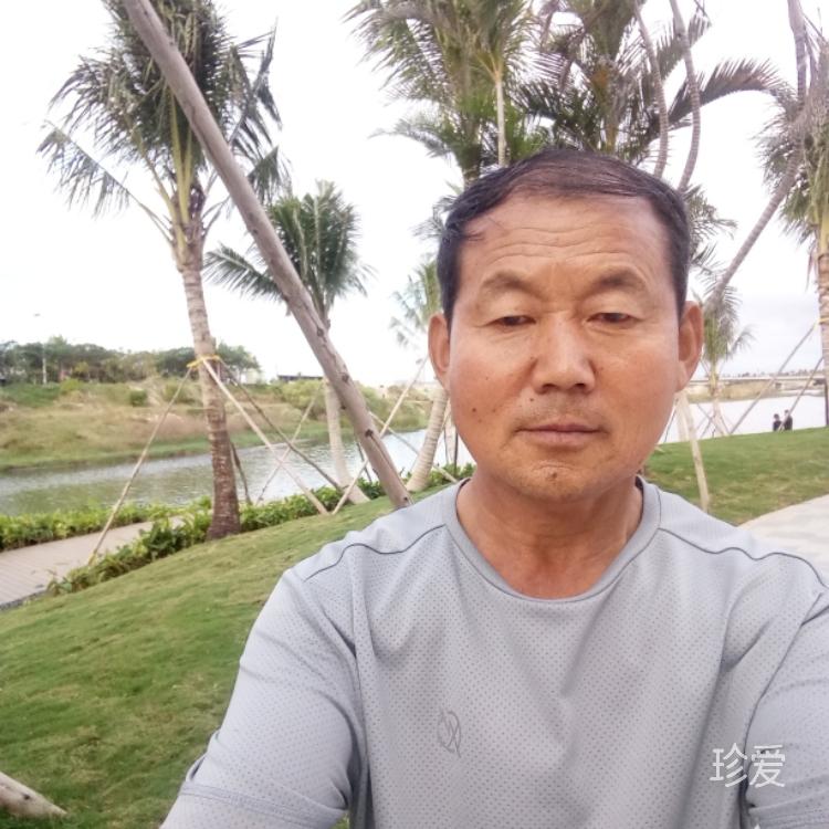 浪淘沙自由自在