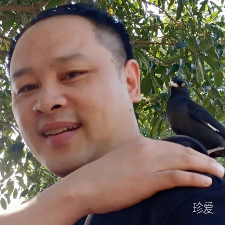 懒得死