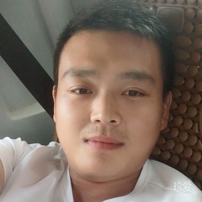 雄鹰翱翔