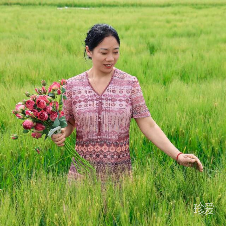 朵拉